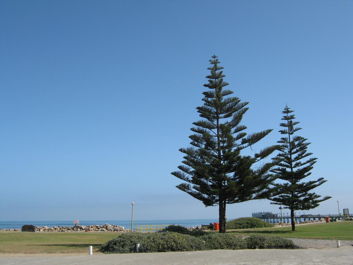 Jetty Self-Catering Hotel Swakopmund Bagian luar foto